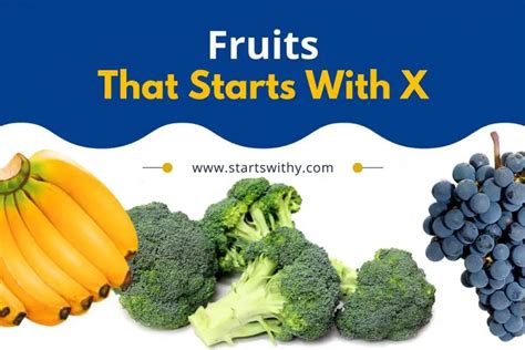 14 Fruits That Start With X .